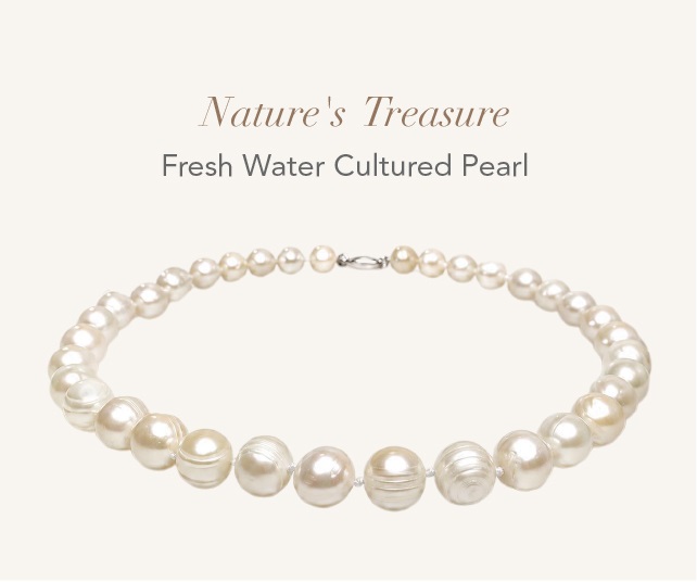 Nature's Treasure Necklace